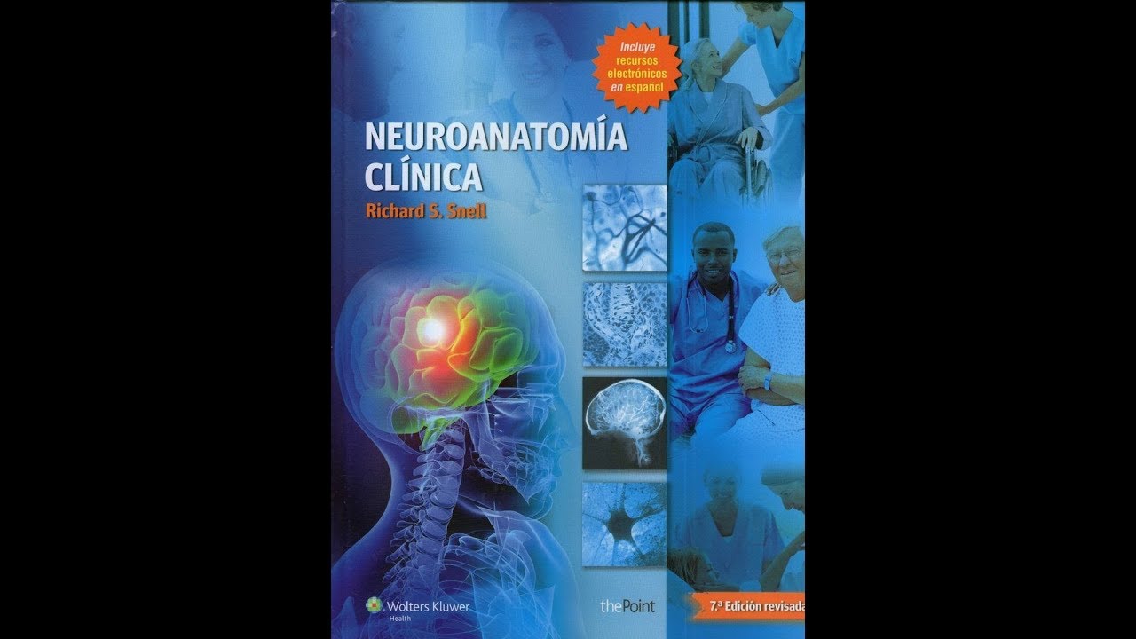 Neuroanatomia de snell pdf gratis